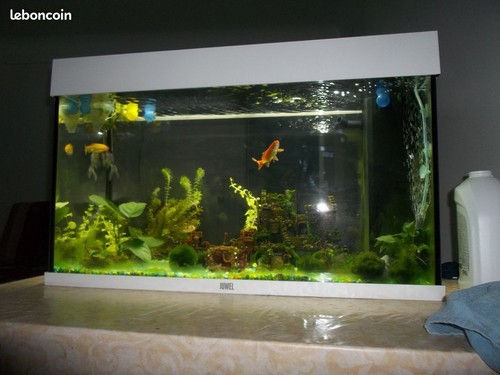Aquarium juwel 125 - aquarium,