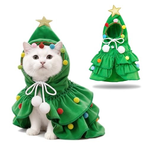 Deguisement pour chat noel - pour,