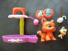 Petshop duo : Maman Trotteur