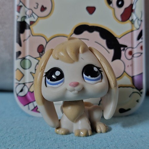 Petshop lapin bélier - 🌺,