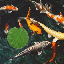  6 Pcs Feuilles Artificielles Décorations D'étang Plantes Aquatiques