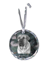 Boerboel - Boule Avec Photo, Hundebild En Cristal, Personnalisé Chris