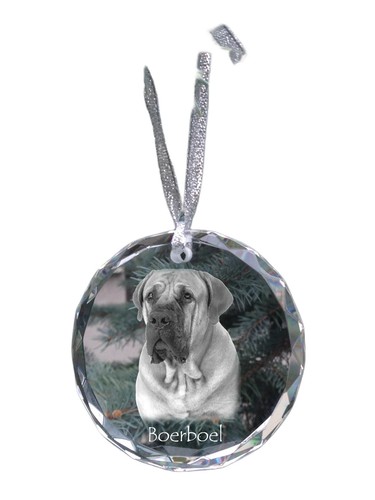 Boerboel photo bille - -,