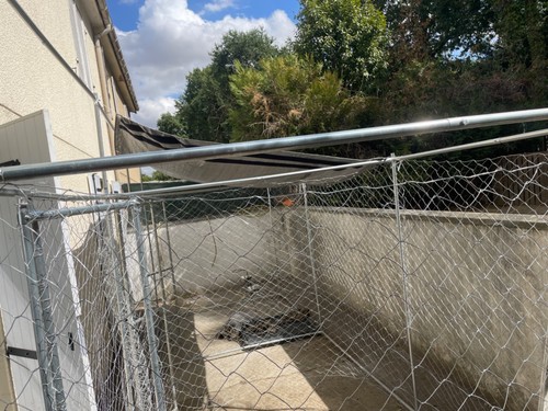Vidaxl cage pour chien avec - pour,