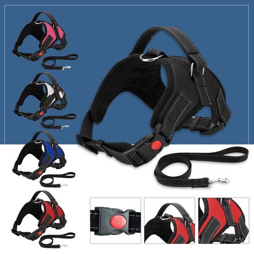 Chien harnais tirer pour - harnais, ne