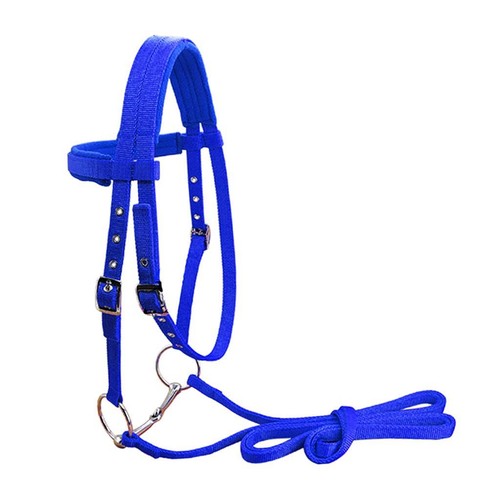 Cheval briderie rein harnais - briderie,