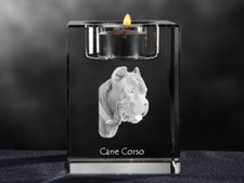 Cane Corso, Bougeoir En