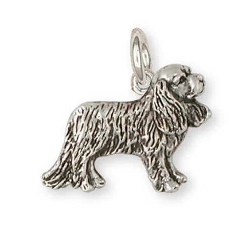 Cavalier king charles - king,