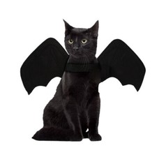Pets Halloween Costume