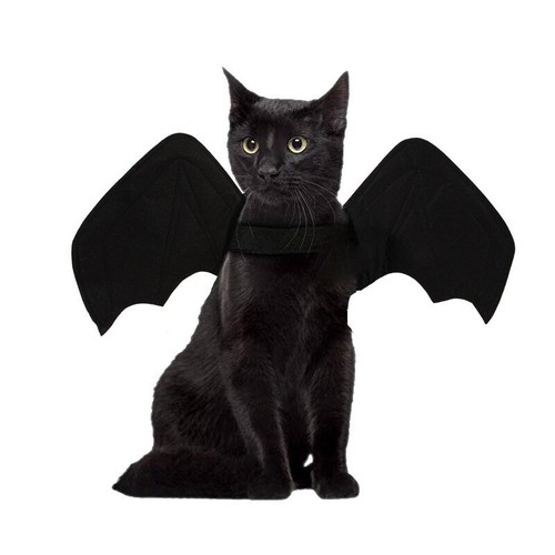 Pets halloween costume - halloween,