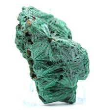 Morceau de Malachite Fibreuse Brute 155gr 75mm Congo-Kinshasa