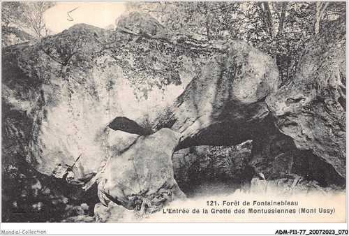 Admp11 0922 foret - -, de