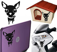 CHIHUAHUA, Autocollant En
