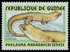 GUINEA REPUBLIC Yt 2116 - Giant Day Gecko "Phelsuma madagascariensis" (pc32977)