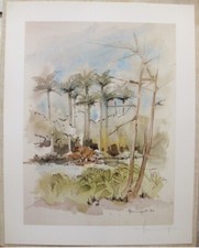 Ile de la Réunion. Francois