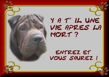 PLAQUE DE GARDE SHAR-PEI