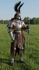 Winged Hussar Style Full Armor
