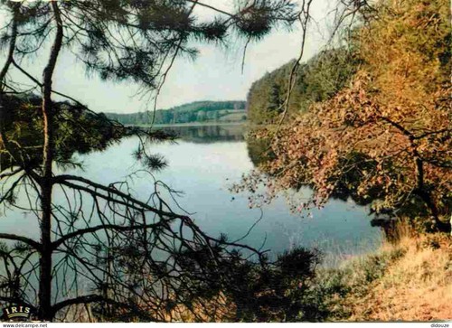 Carte postale saint - -,