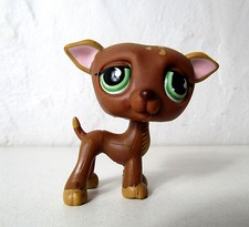 Petshop chien lévrier