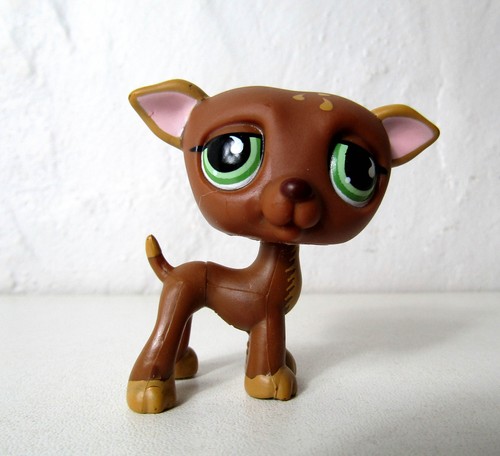 Petshop chien lévrier