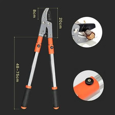 Coupe Branches Télescopique