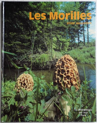 Les morilles - les,