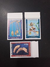 Burkina Faso Fruits Baobab