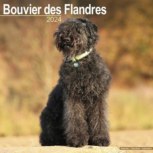 Calendrier 2024 bouvier des - -,