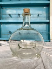 Piège À Guêpes Verre