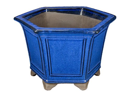 Pot bonsaï hexagonal en - pot,