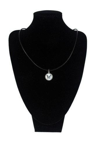 Collier pour boston - pour,