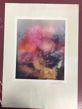 lithographie originale couleurs,signée David Hamilton ,1970, « Fleurs en flou ».