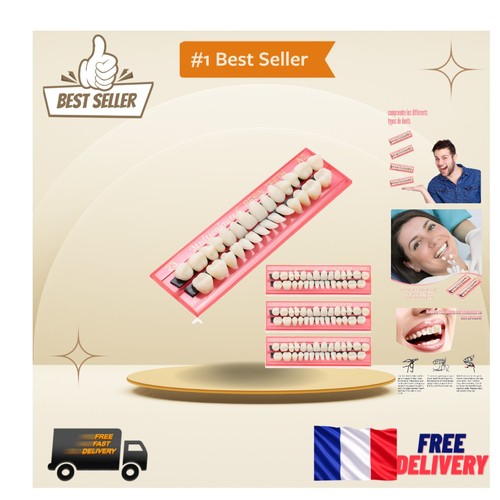 Dents résine dentaire - en,