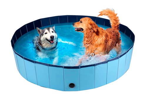 Maxxpro piscine pour chien 160 - maxxpro,