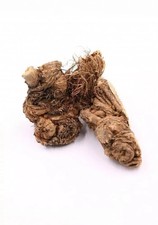 Ferula hermonis (Viagra) poids