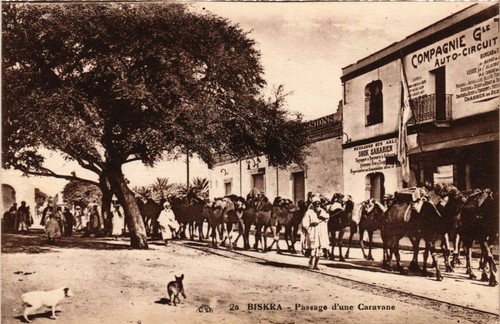 Cpa algeria biskra passage - cpa,