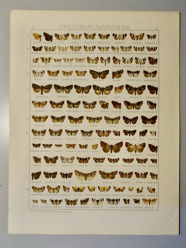 Chromolithographie originale - chromolithographie,