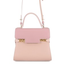 Delvaux Tempate Size PM