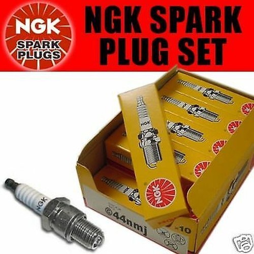 Ngk bougies pour tvr - pour,
