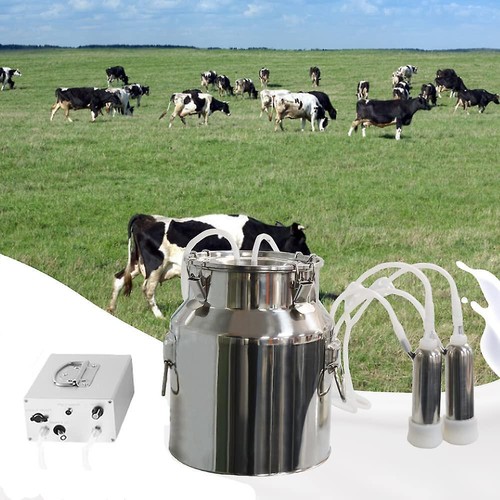 Machine traire vache - traire, de