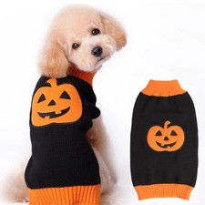 Pull Halloween pour Chien et