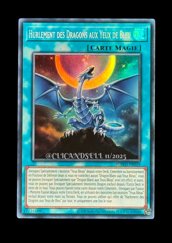 Carte sdwd fr019 - carte, yu-gi-oh