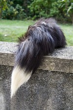 1x GRANDE queue RENARD ARGENTE