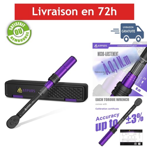 Clé dynamométrique anpuds - clé,