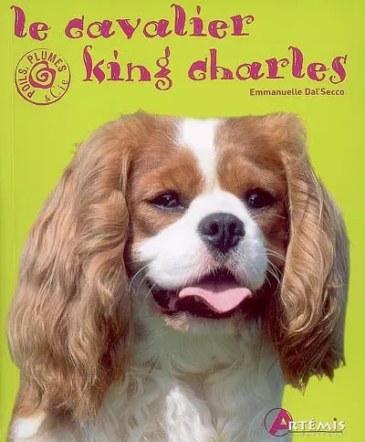 Cavalier king charles - king,