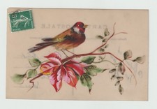 Beautiful hand painted goldfinch.  Old postcard in Celluloid 296