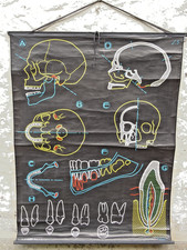 Ancienne affiche scolaire Dr