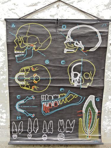 Ancienne affiche scolaire - , dr