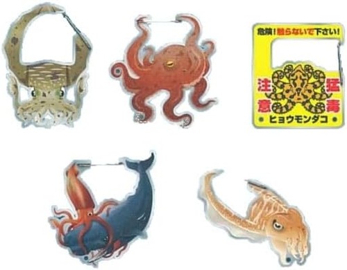 Ensemble squis et octopus - de,