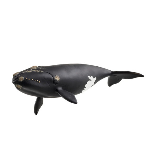 Figurine schleich baleine - figurine, de